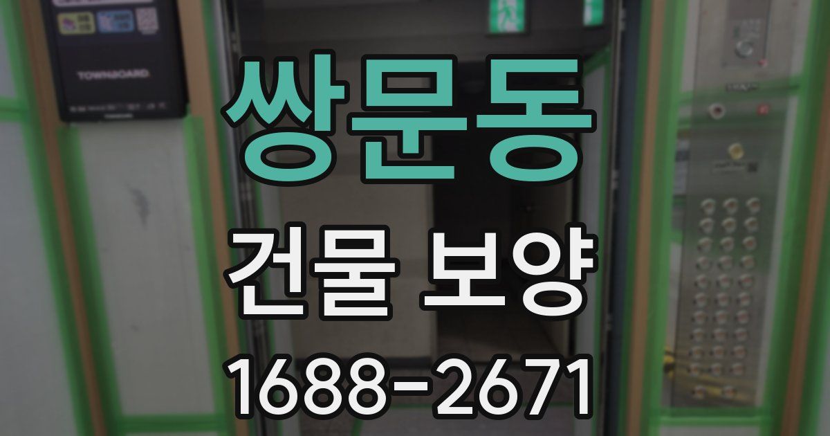 쌍문동 건물 보양