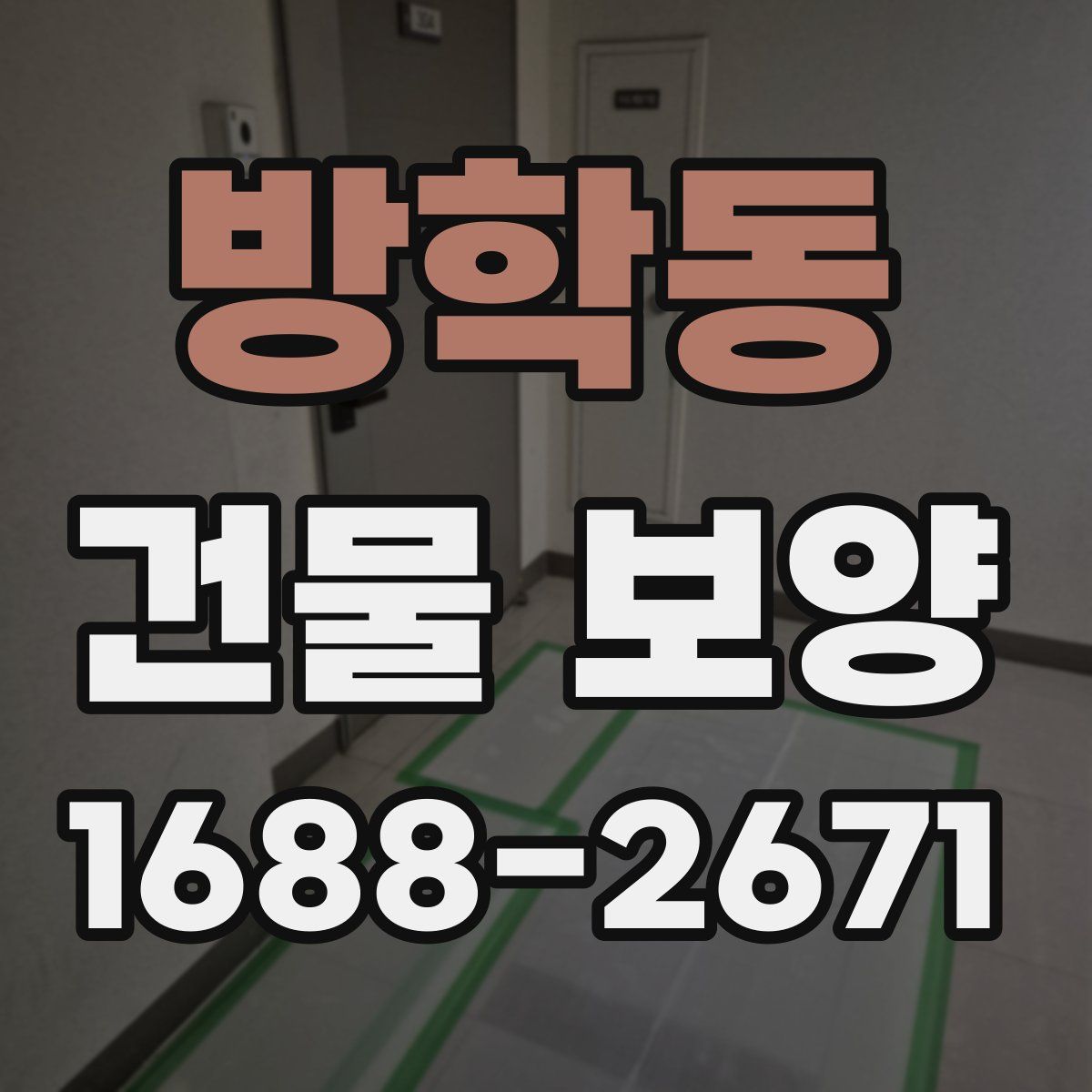 방학동 건물 보양