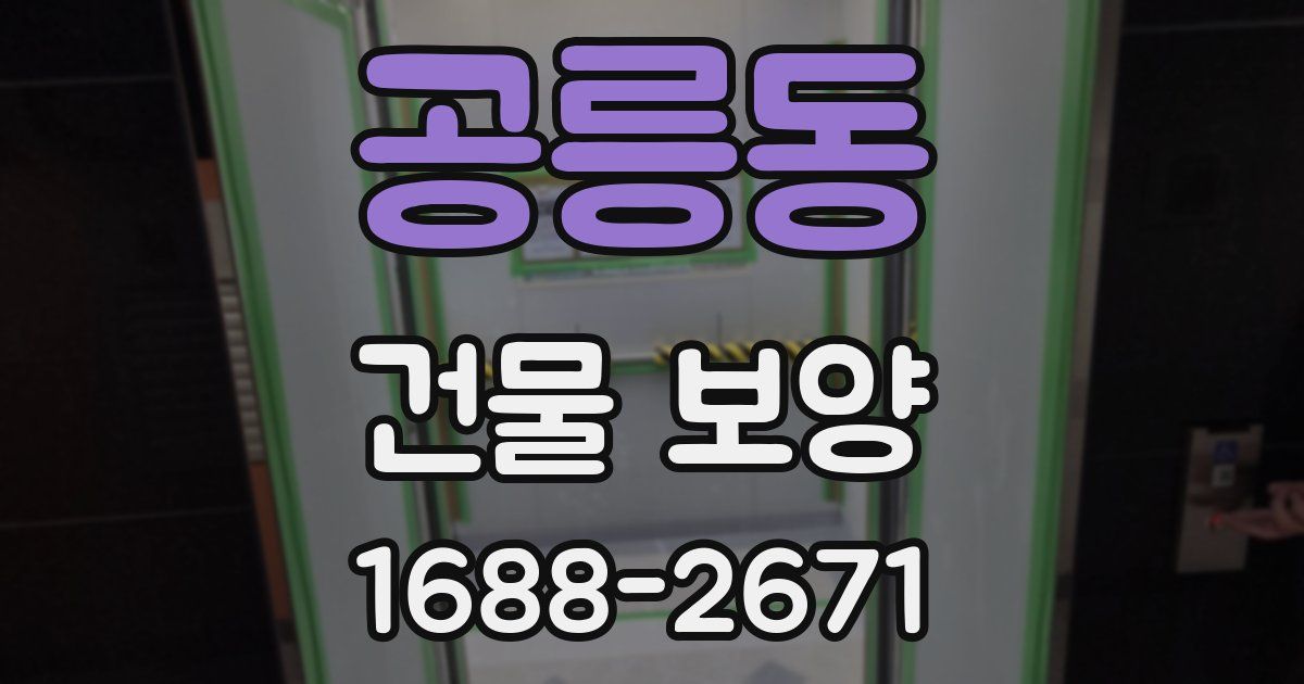 공릉동 건물 보양