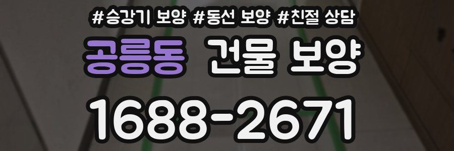 공릉동 건물 보양