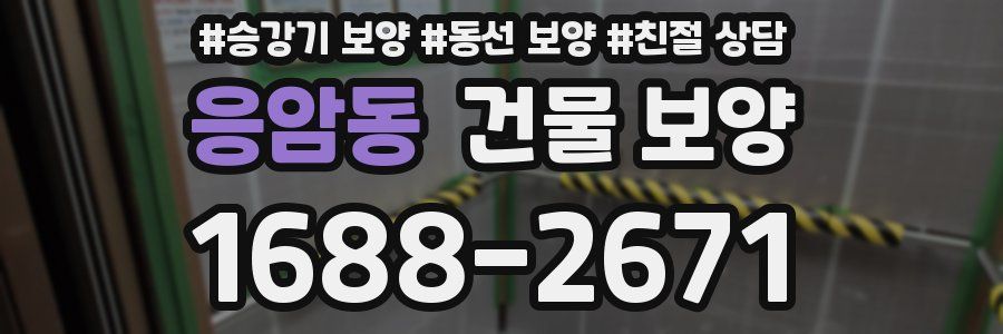 응암동 건물 보양