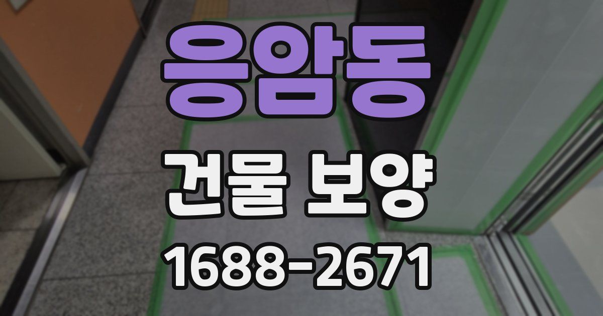 응암동 건물 보양