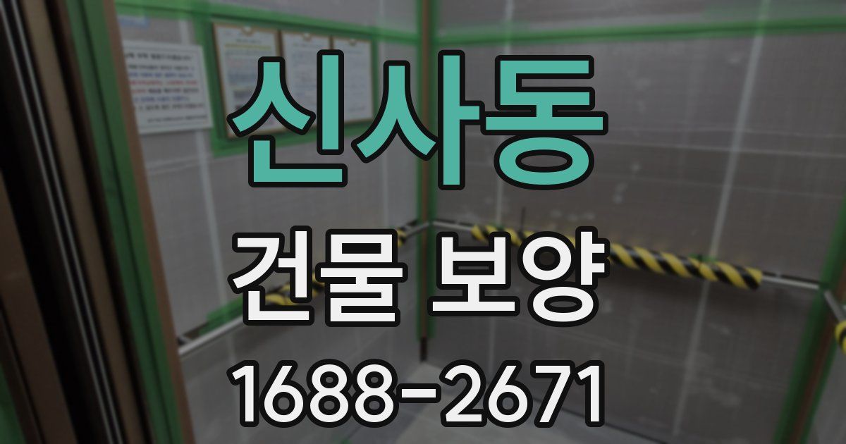 신사동 건물 보양