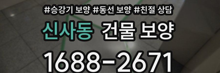 신사동 건물 보양