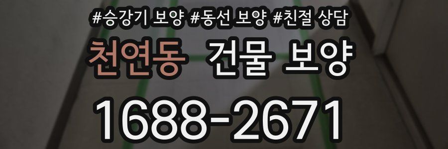 천연동 건물 보양