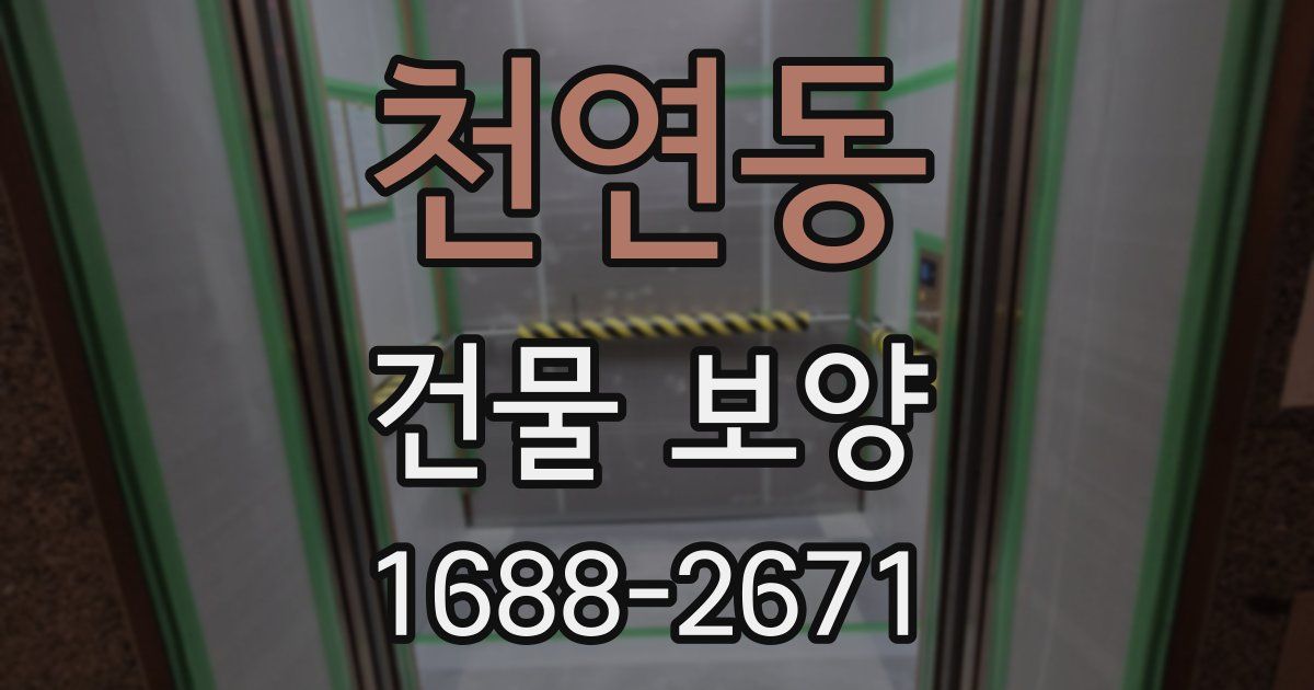 천연동 건물 보양
