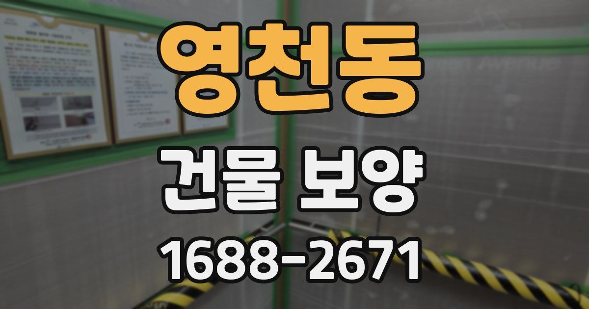 영천동 건물 보양