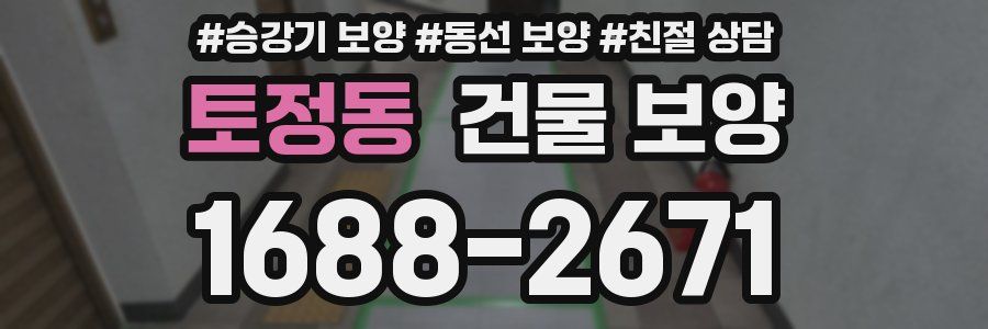 토정동 건물 보양