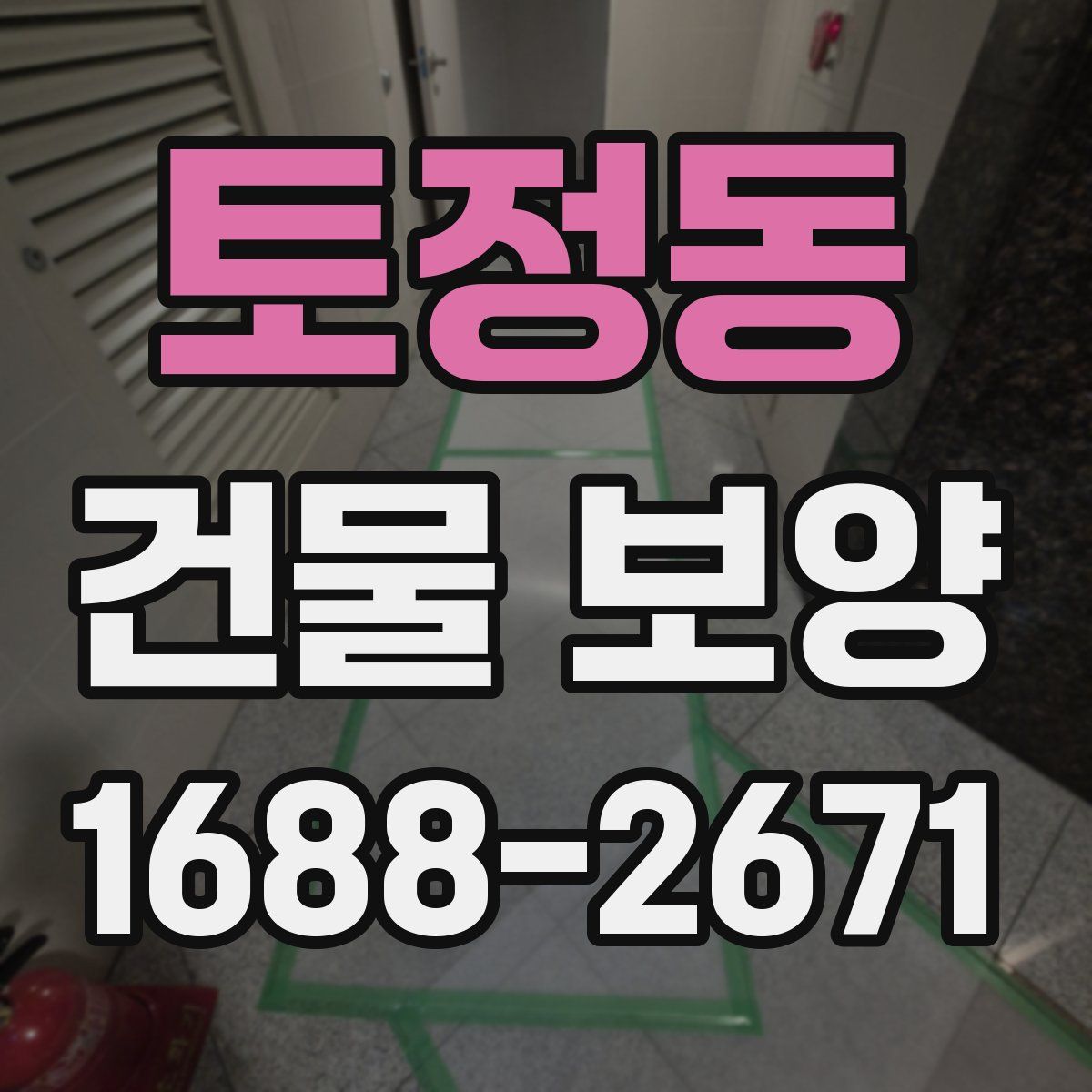 토정동 건물 보양