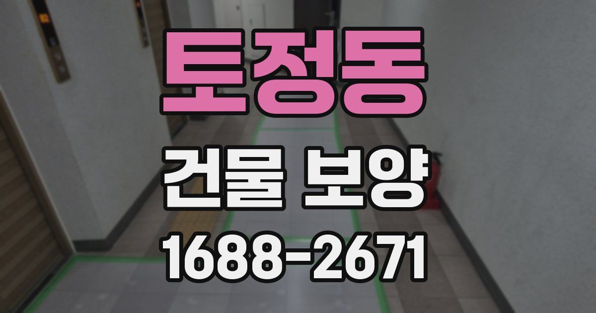 토정동 건물 보양