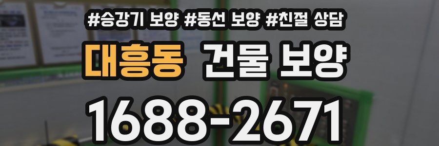 대흥동 건물 보양