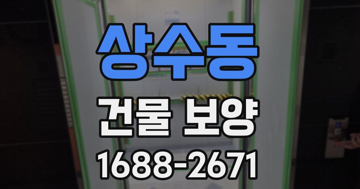 상수동 건물 보양