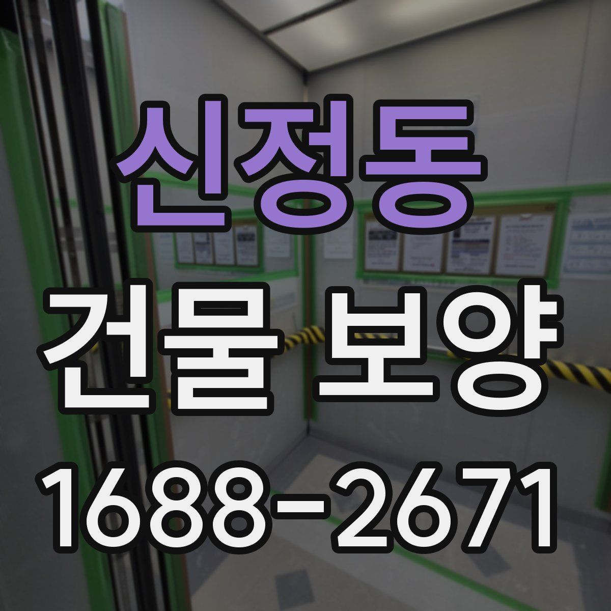 신정동 건물 보양