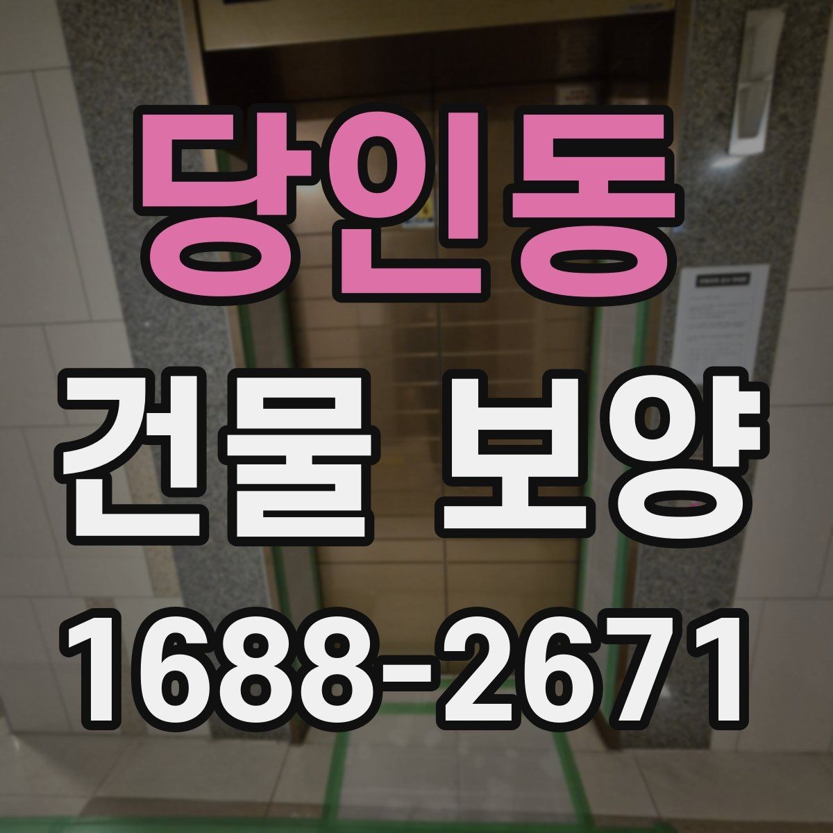 당인동 건물 보양 현장 사례로 본 비용 차이