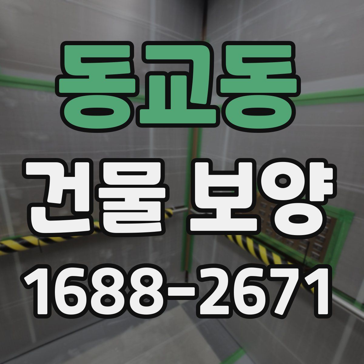 동교동 건물 보양