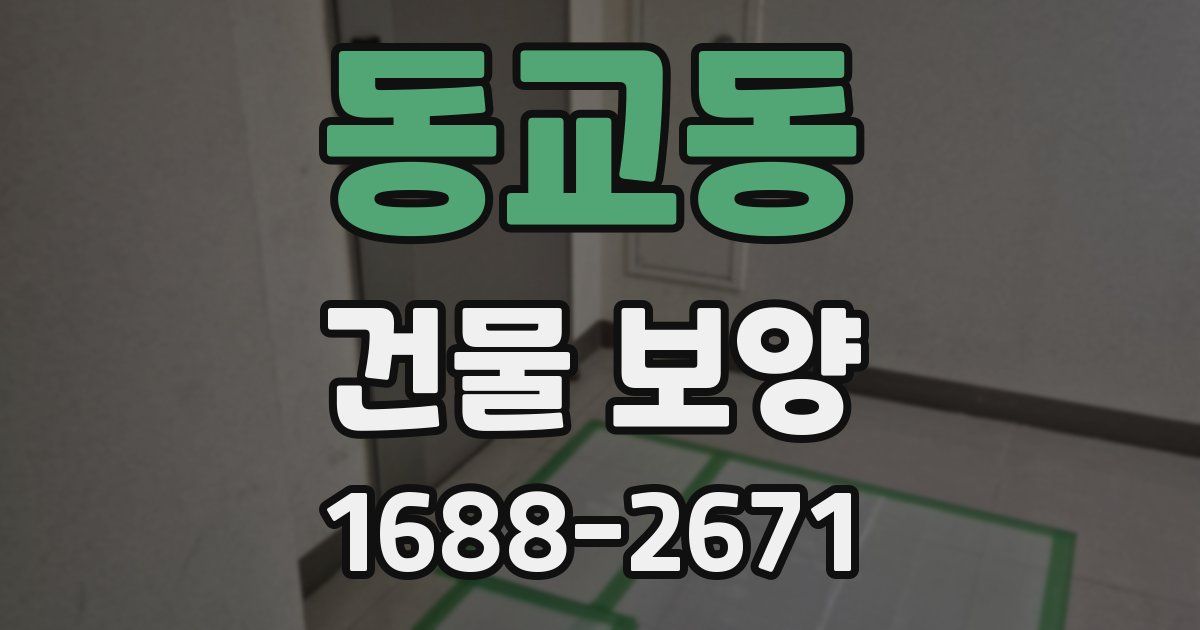 동교동 건물 보양