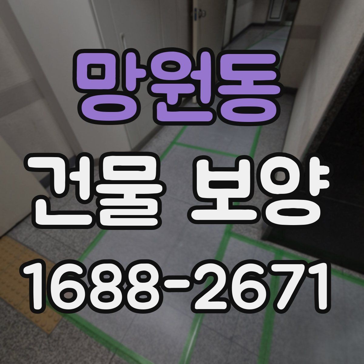 망원동 건물 보양 계획 세우는 실무 기준