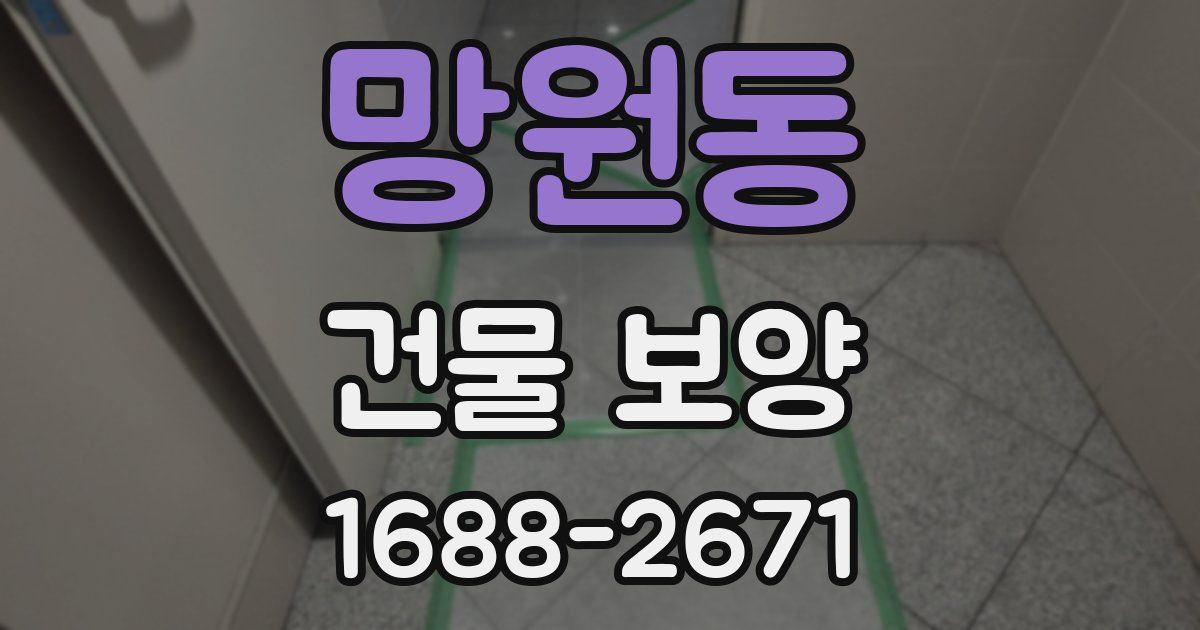 망원동 건물 보양
