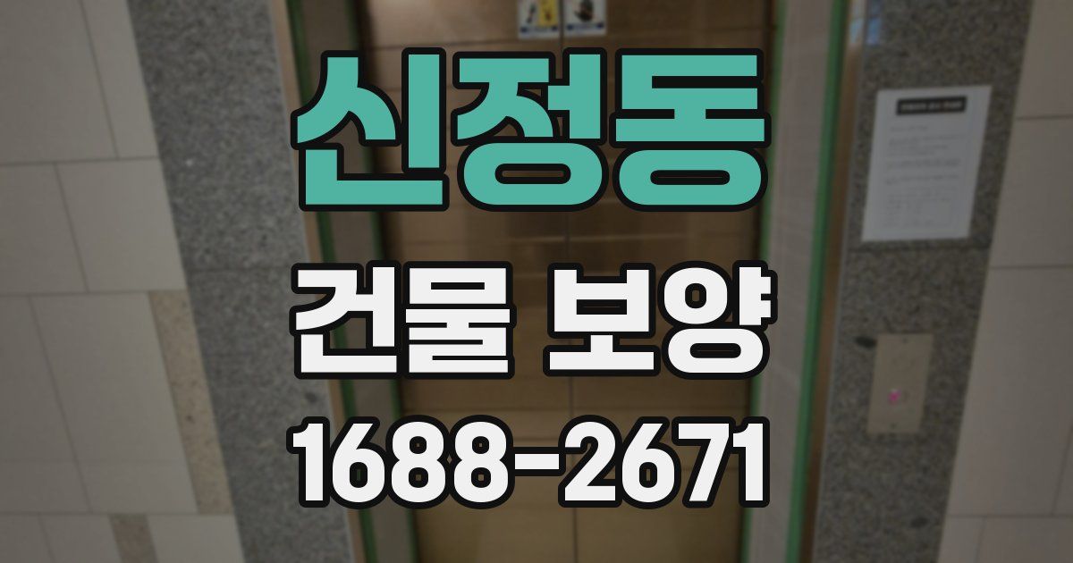 신정동 건물 보양