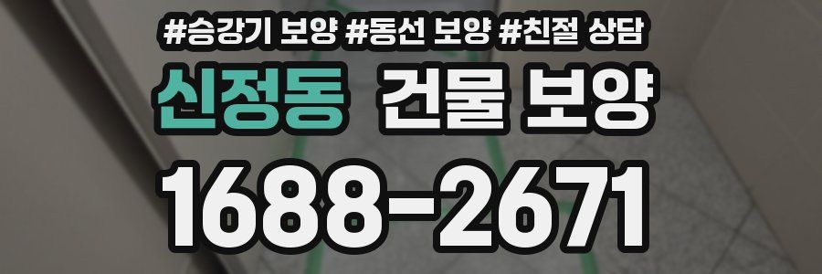 신정동 건물 보양