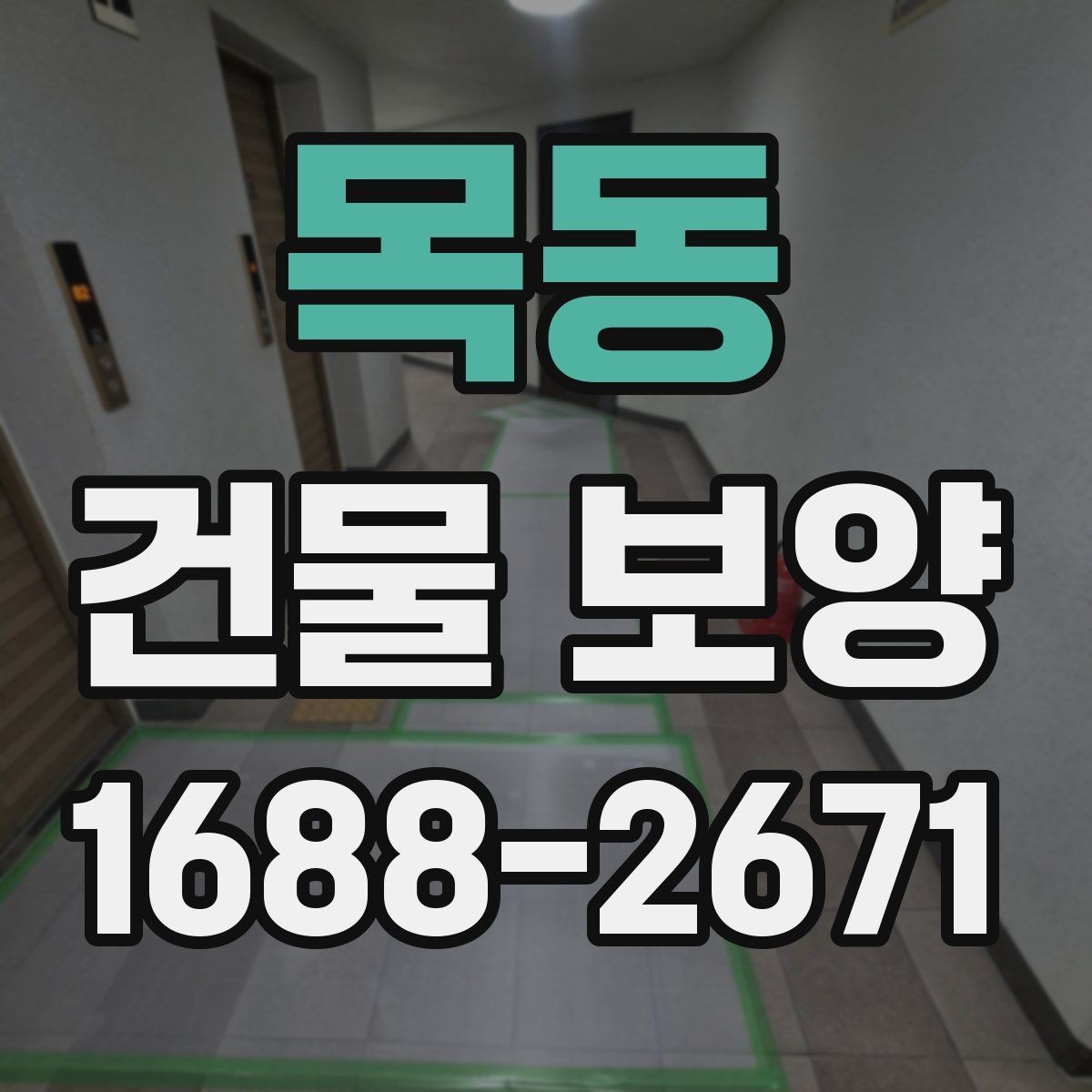 목동 건물 보양 시공 전후 관리 차이