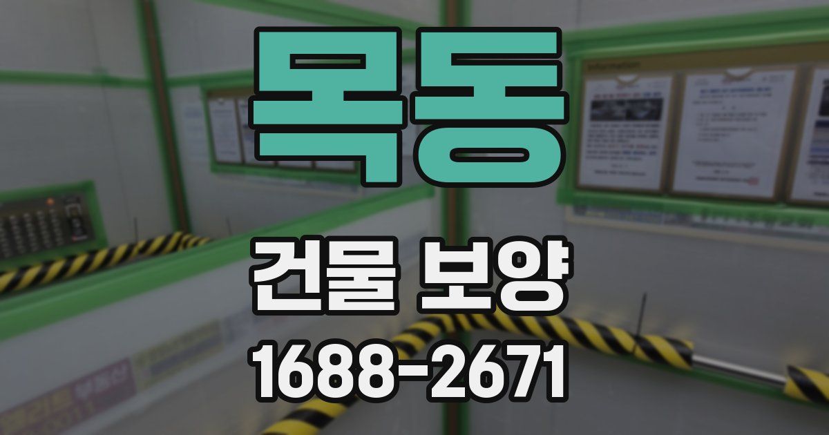 목동 건물 보양