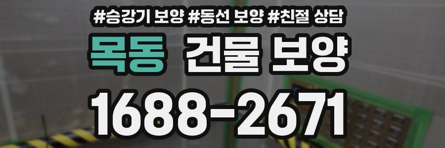 목동 건물 보양