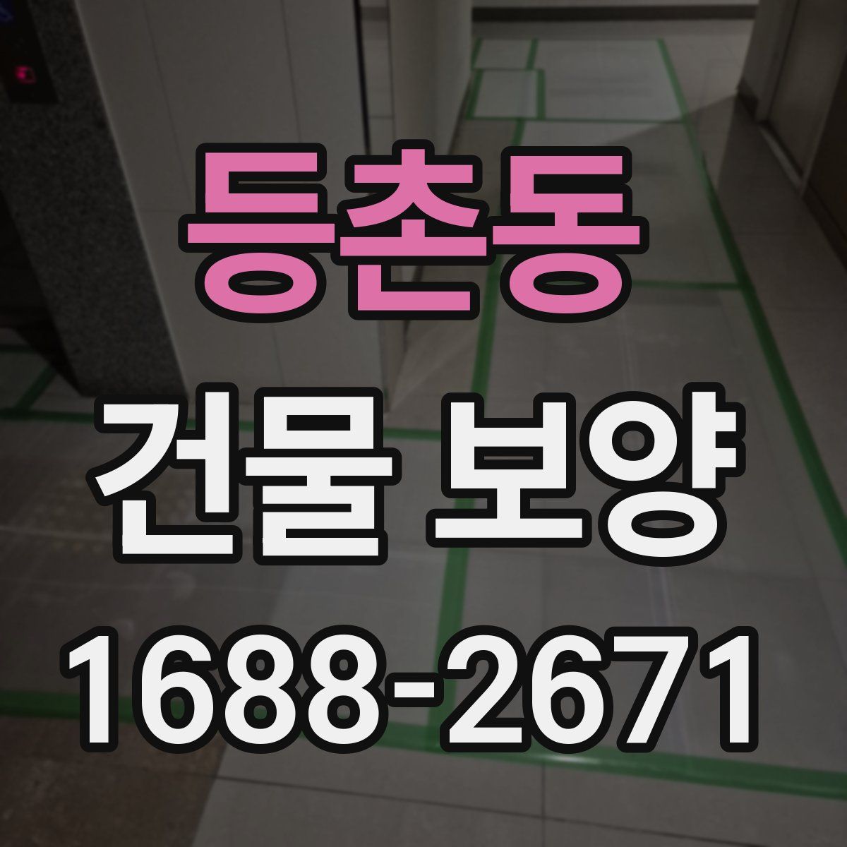 등촌동 건물 보양