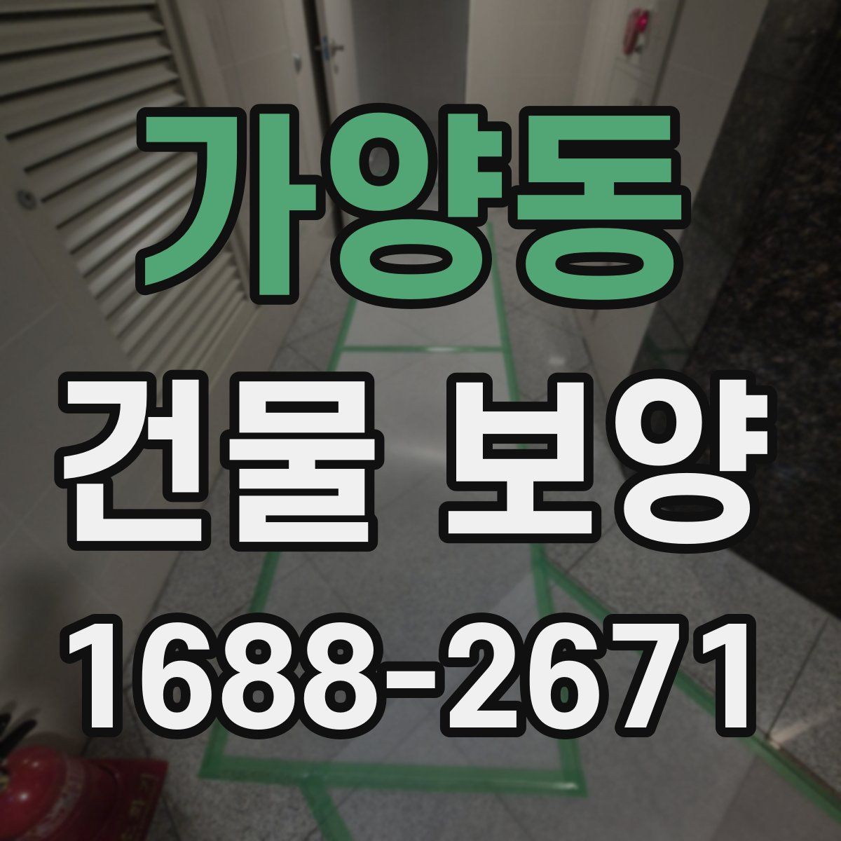 가양동 건물 보양
