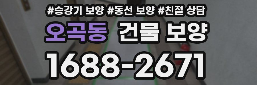 오곡동 건물 보양