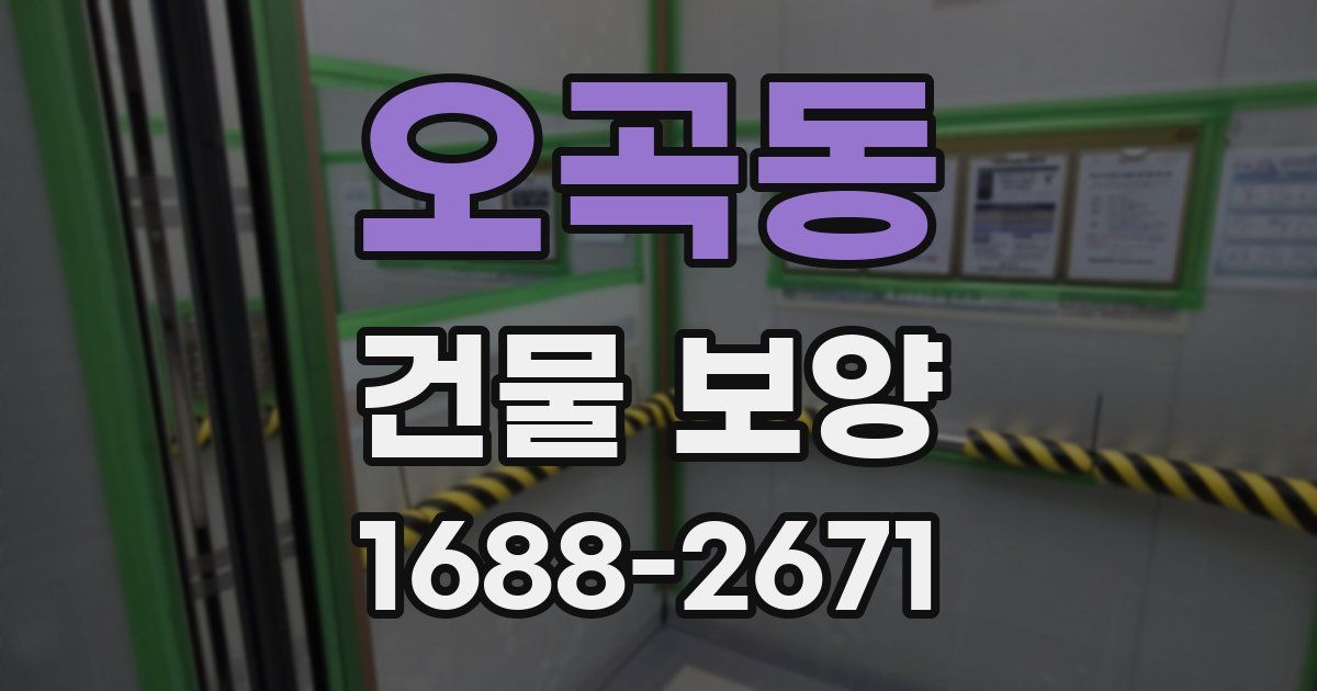 오곡동 건물 보양
