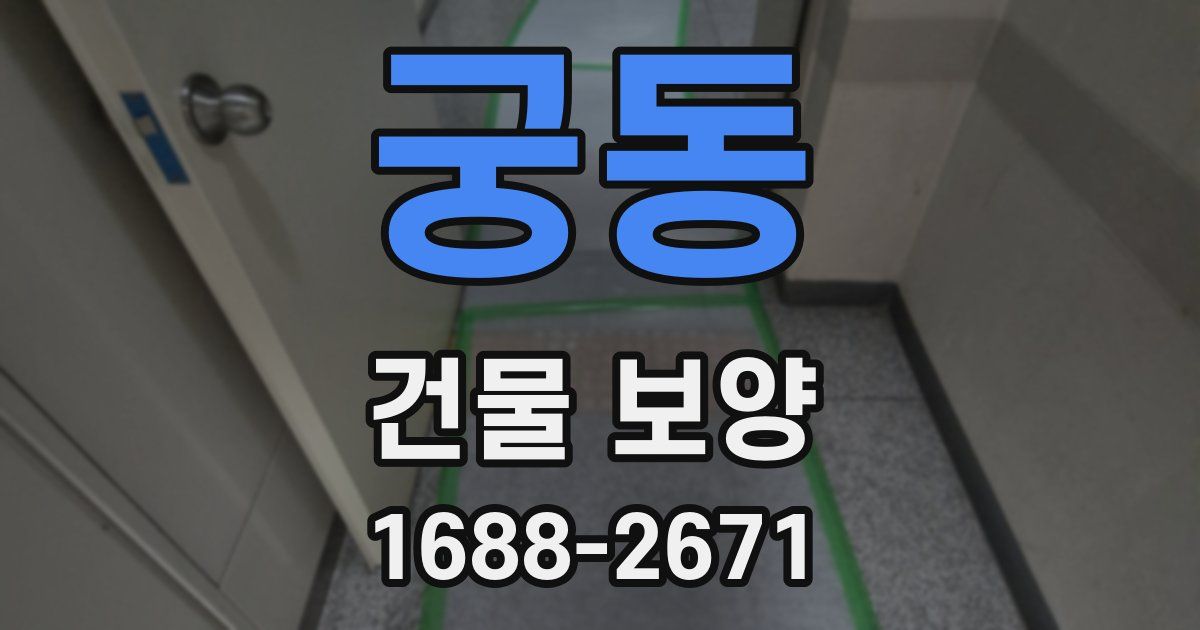 궁동 건물 보양