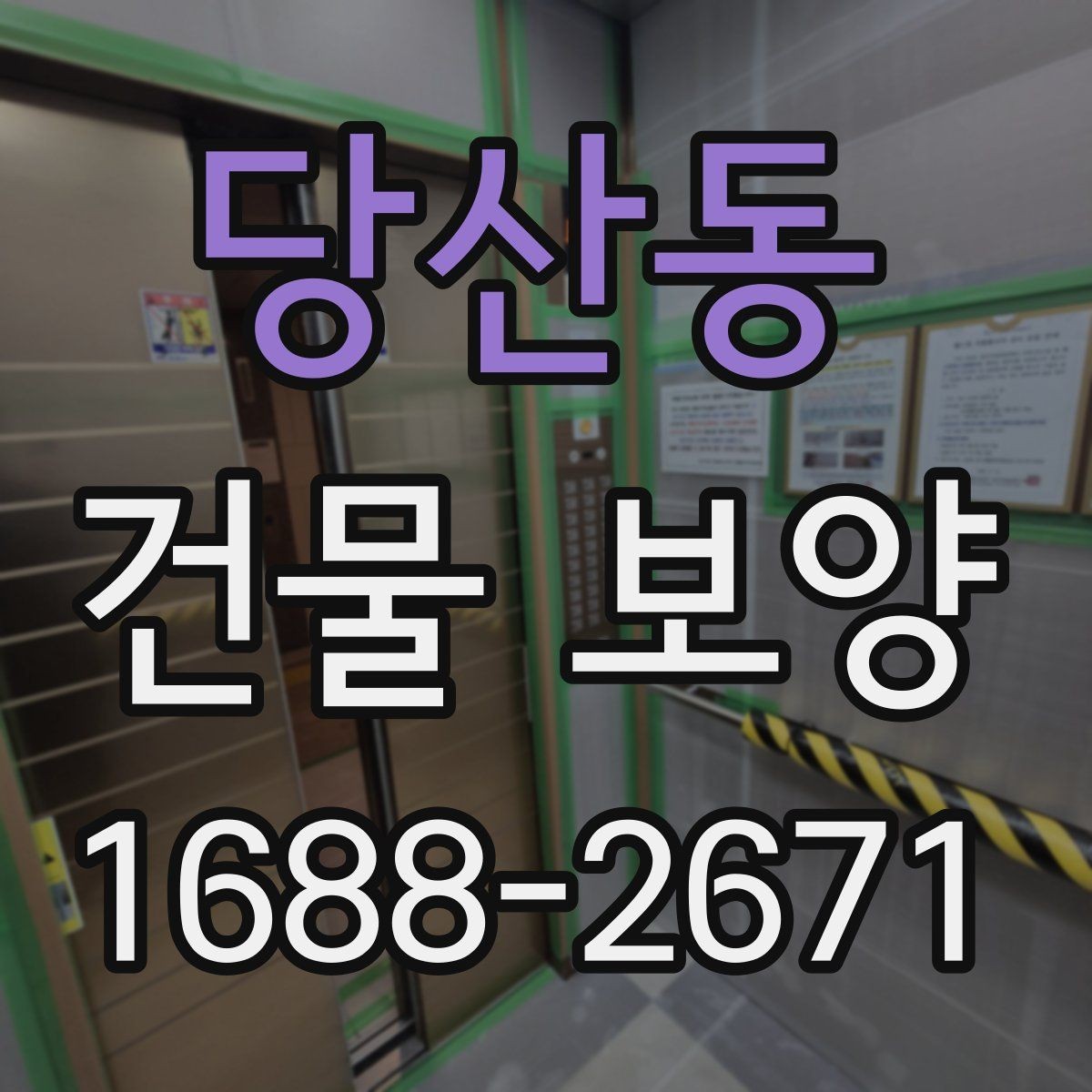당산동 건물 보양 품질을 좌우하는 핵심 요소