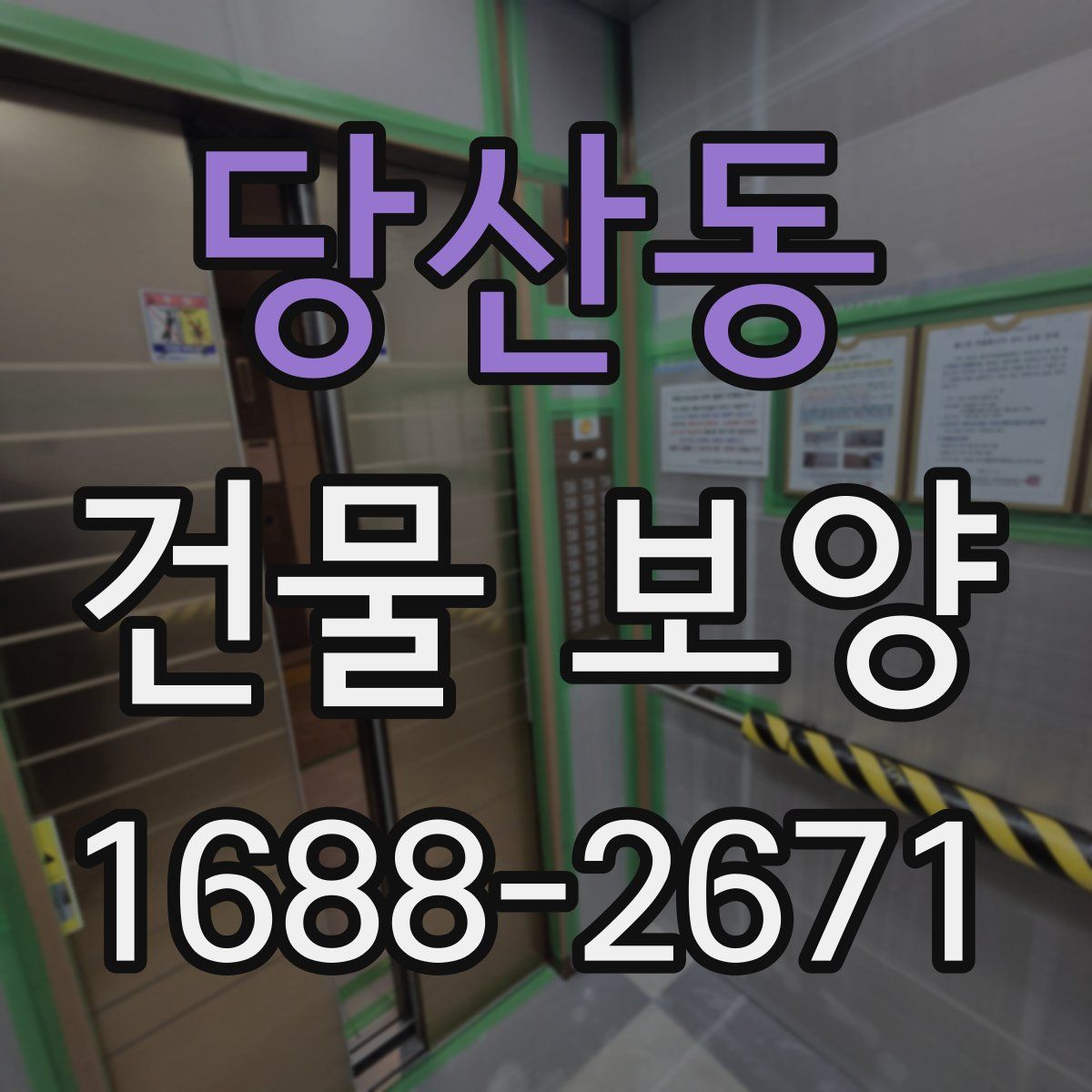당산동 건물 보양