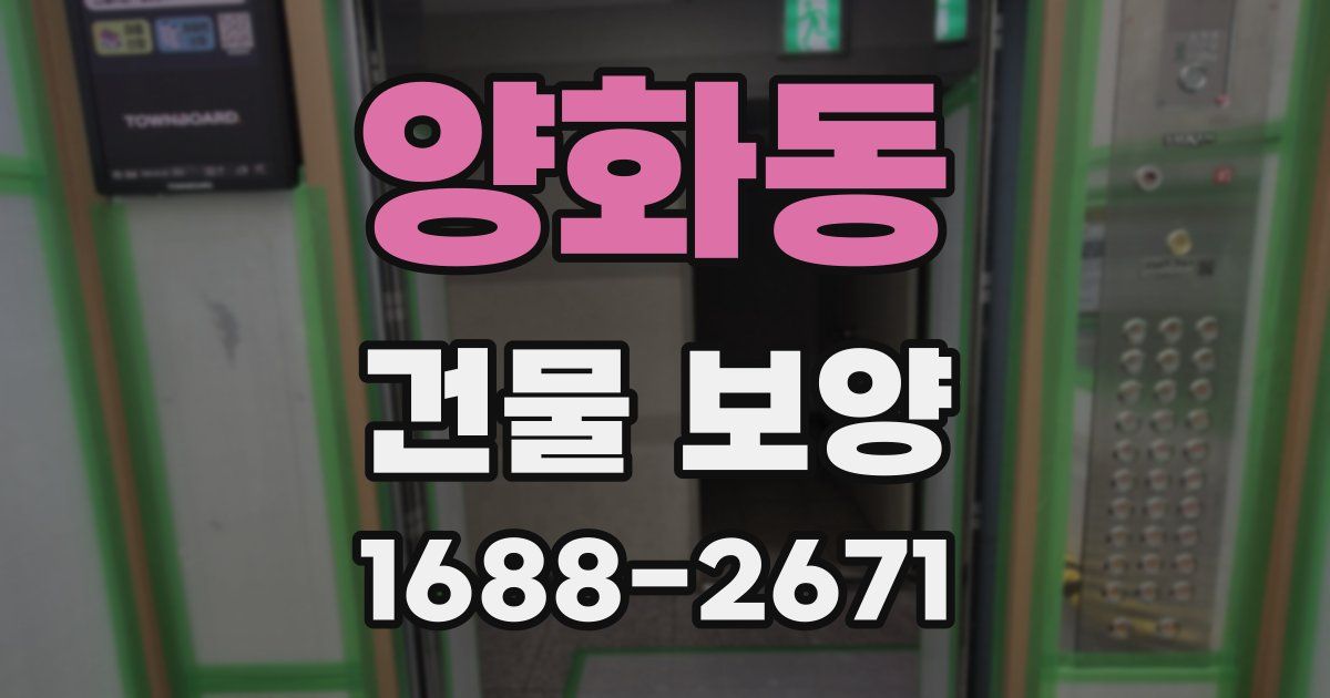 양화동 건물 보양