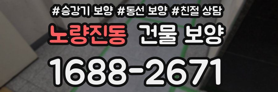 노량진동 건물 보양
