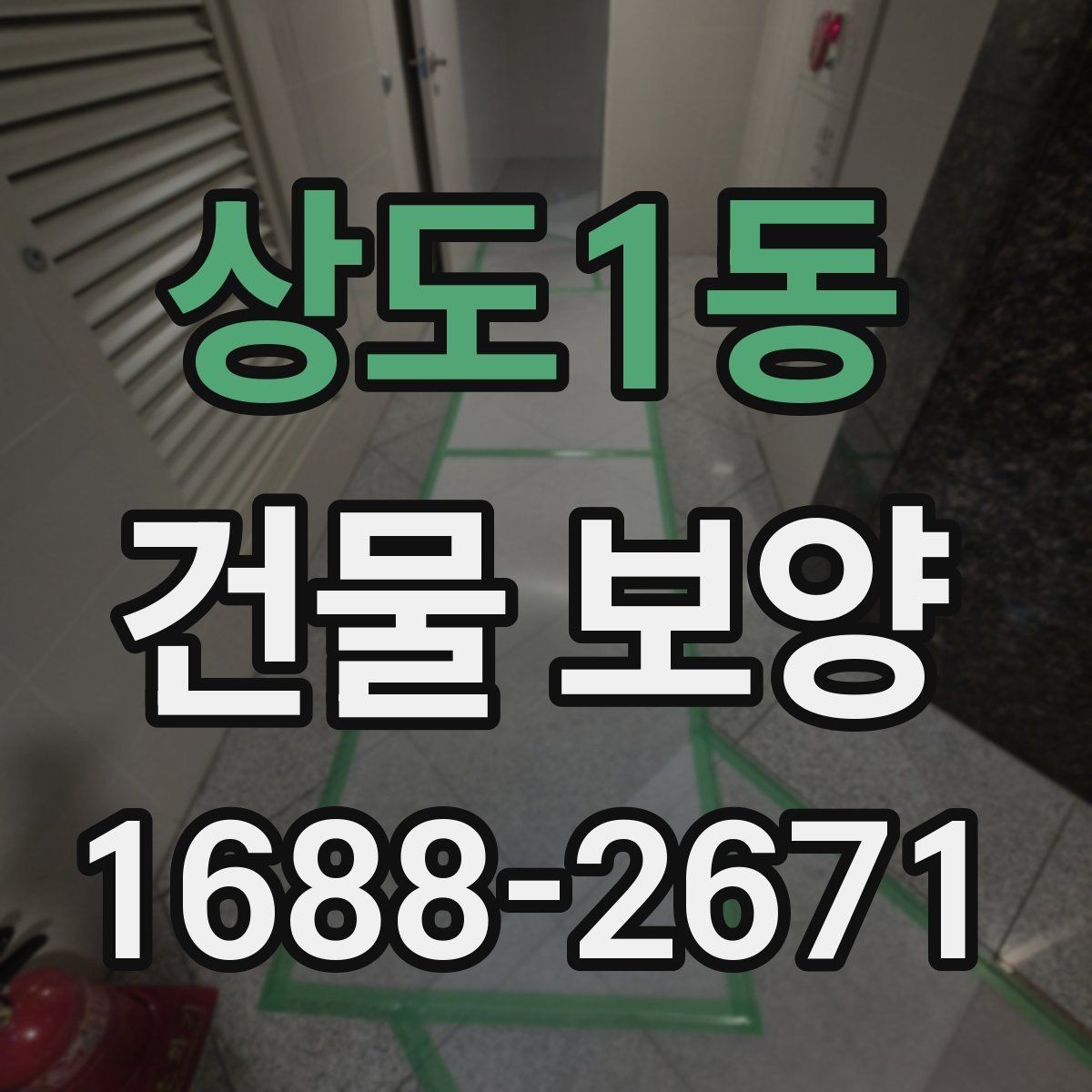 상도1동 건물 보양 비용과 품질을 함께 보는 기준