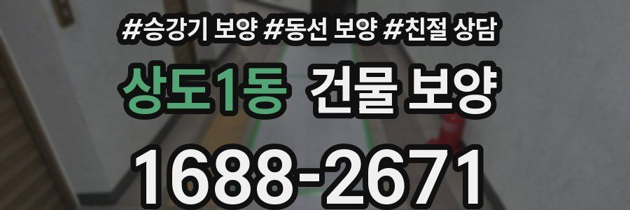상도1동 건물 보양