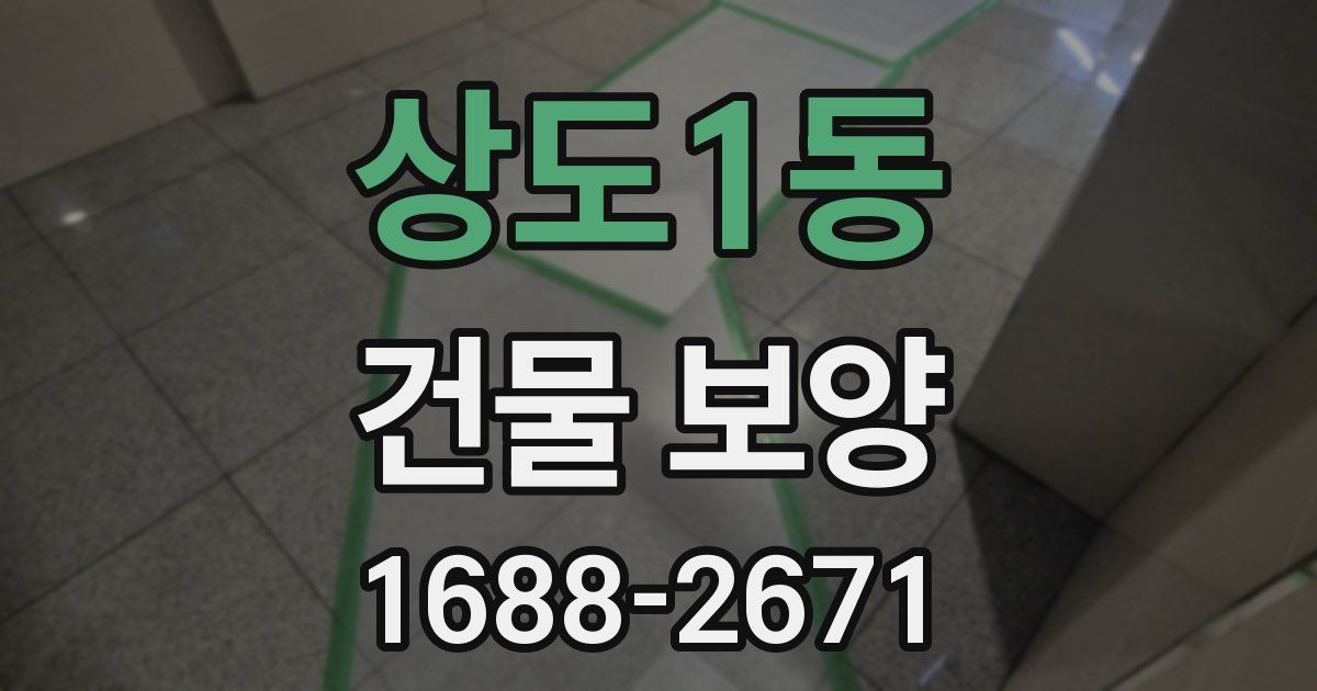 상도1동 건물 보양