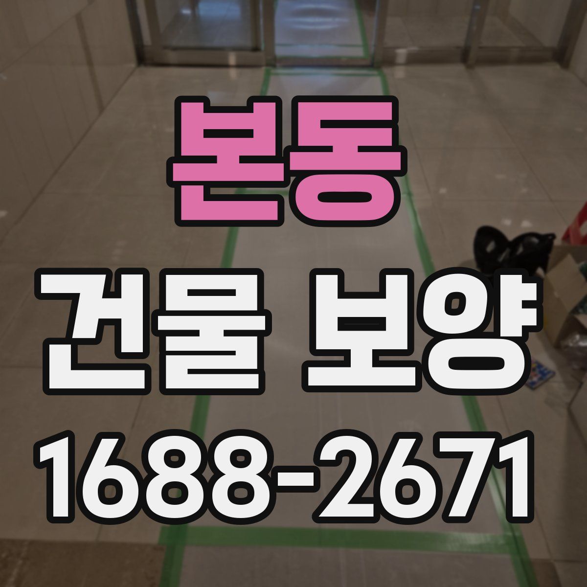 본동 건물 보양