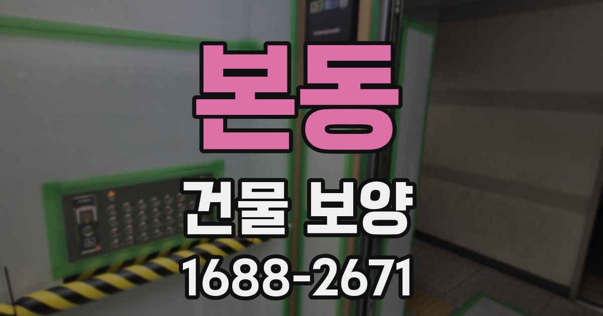 본동 건물 보양