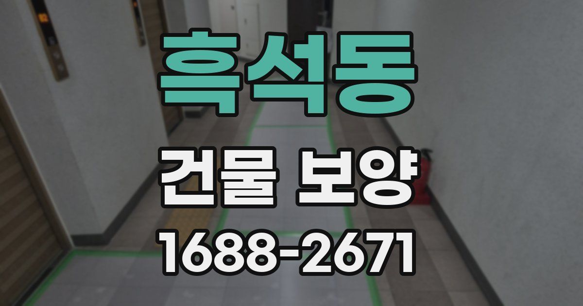 흑석동 건물 보양