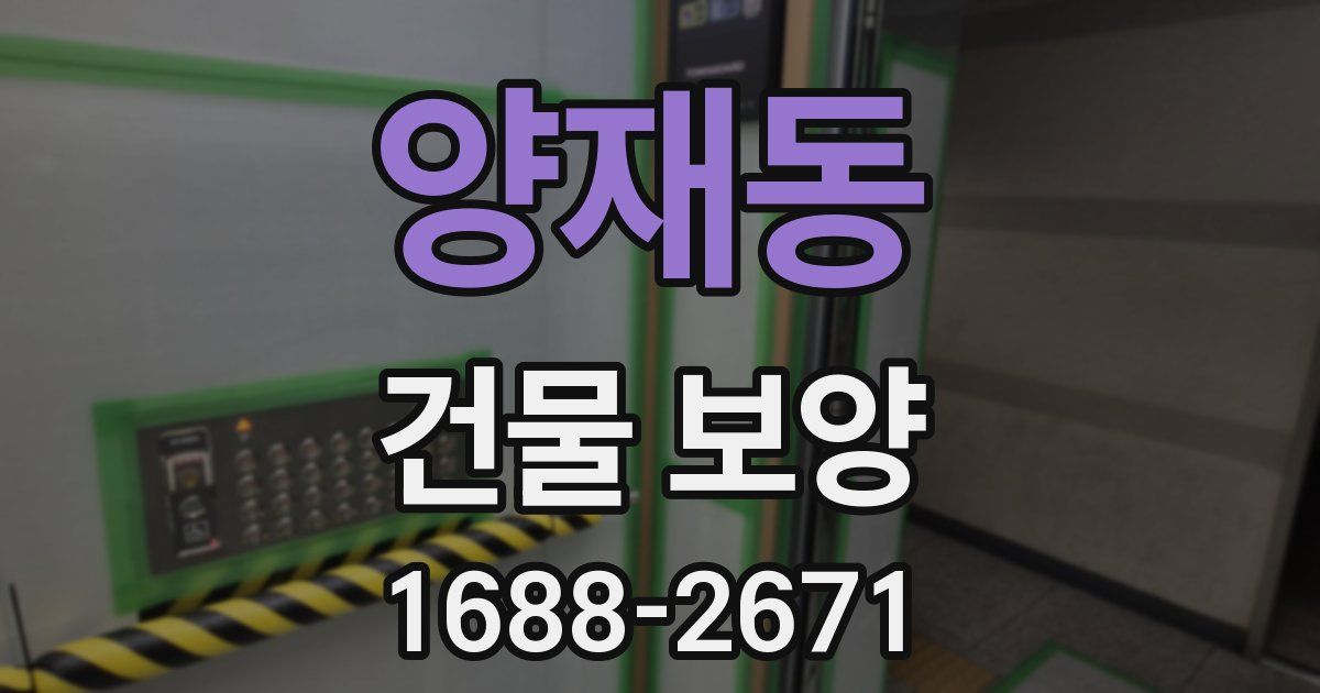 양재동 건물 보양
