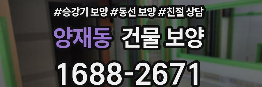 양재동 건물 보양