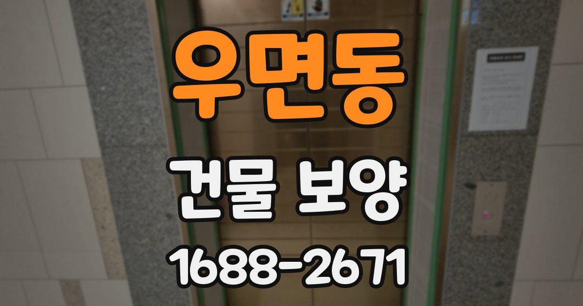 우면동 건물 보양