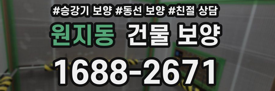 원지동 건물 보양