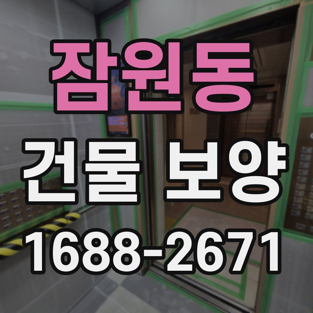 잠원동 건물 보양