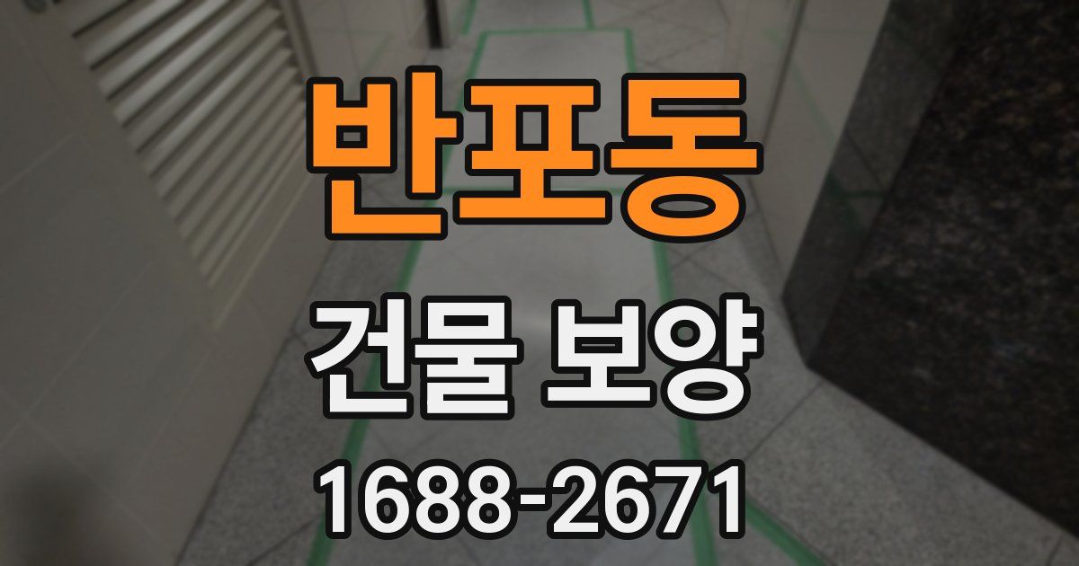 반포동 건물 보양