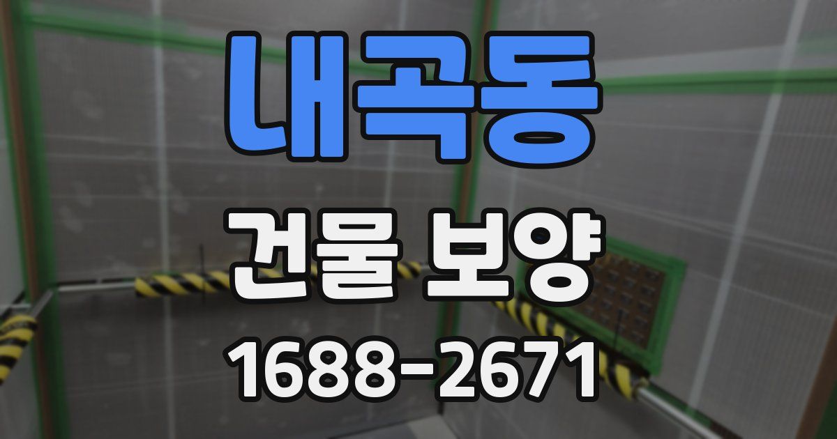 내곡동 건물 보양