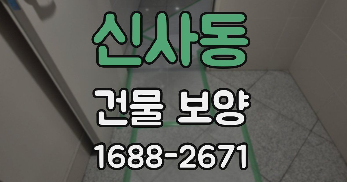 신사동 건물 보양